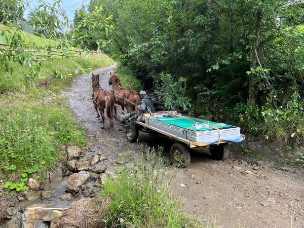 Behind Two Horses