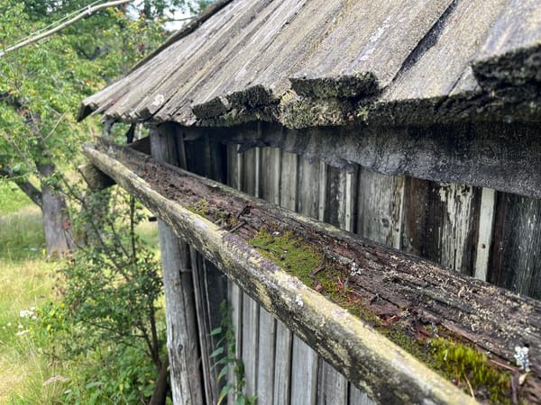The Gutter Was a Hollowed Log